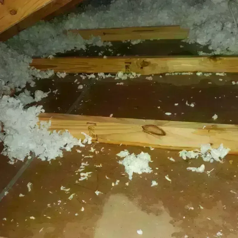 Attic Water Damage in Gladstone, OR