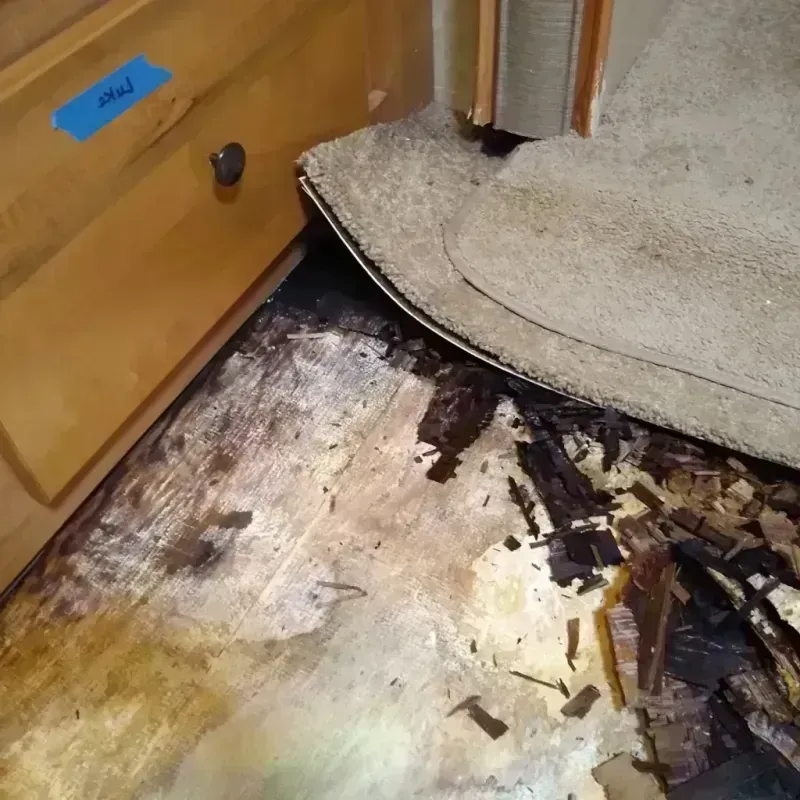 Wood Floor Water Damage in Gladstone, OR